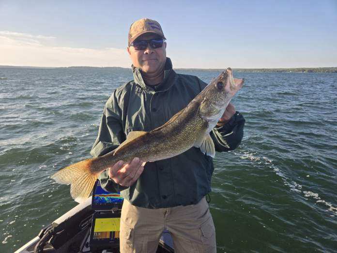 A person wearing a green jacket and sunglasses stands on a boat in a large body of water, holding a large fish they caught. The weather appears clear with a blue sky and the water looks calm. The person looks content with their catch, making for an impressive fishing report from Leech Lake on 9/26/24.