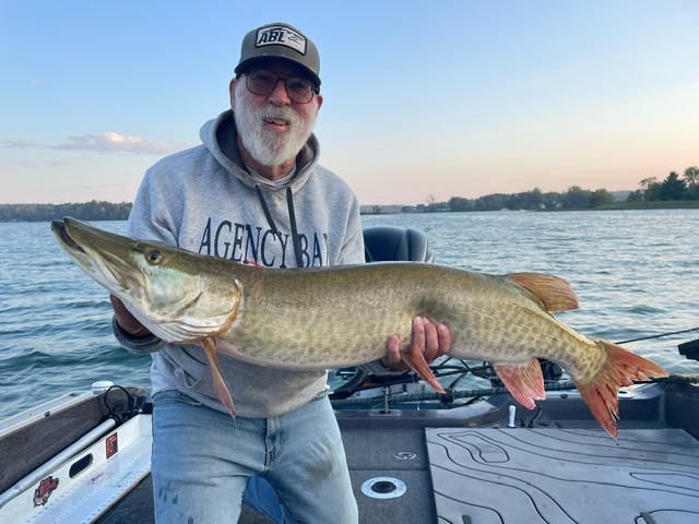 A bearded man wearing glasses, a cap, and a gray hoodie stands on a boat holding a large muskie fish against the calm waters of Leech Lake. With the distant shoreline bathed in the soft light of early evening or morning, it feels like an entry for 2024's fishing report.