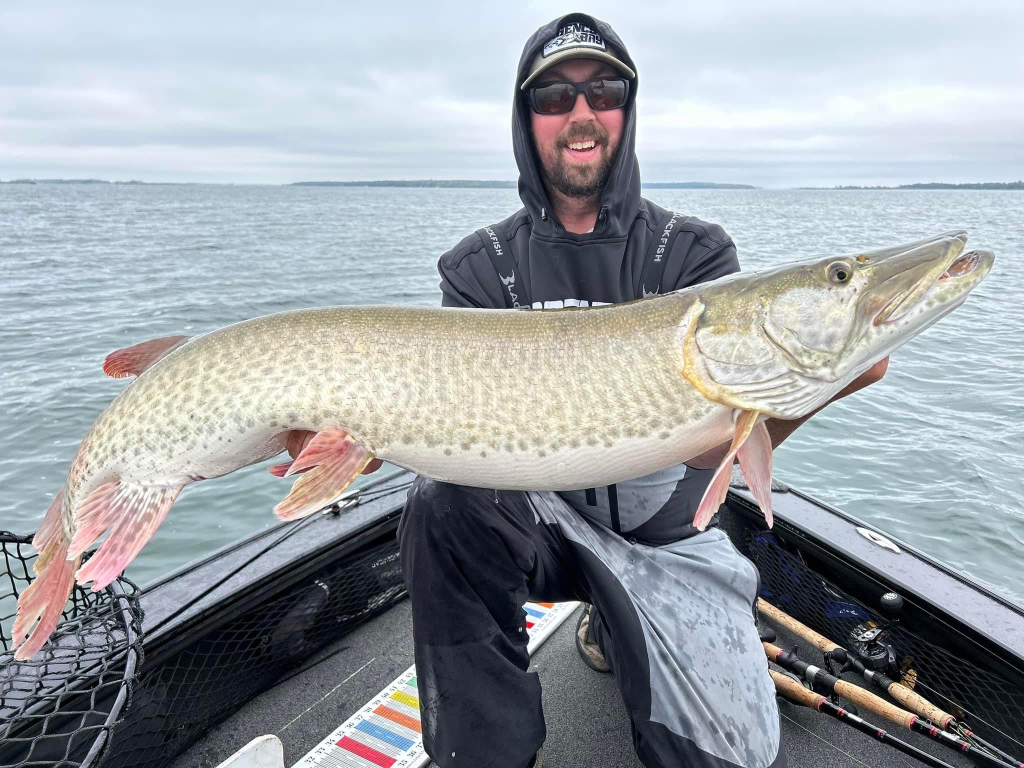 Fisherman on a boat proudly holds a large muskie over the railing with calm water in the background.